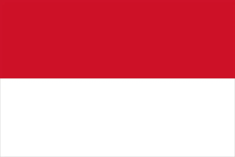Indonesian Flag