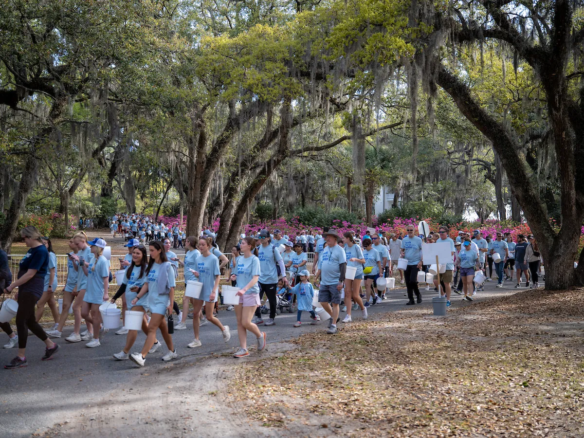 Walkers journey through shaded route