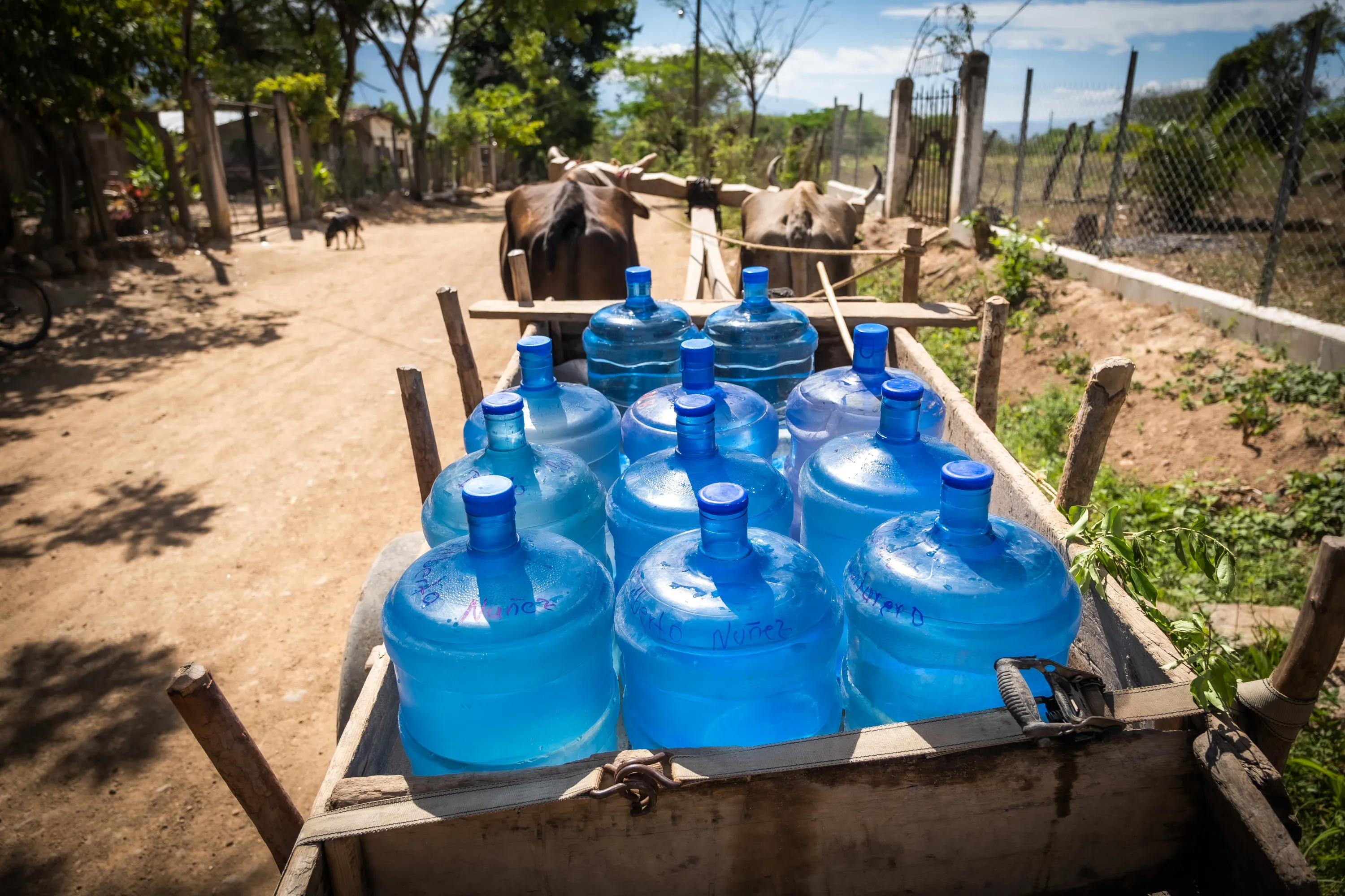Water in back of cart