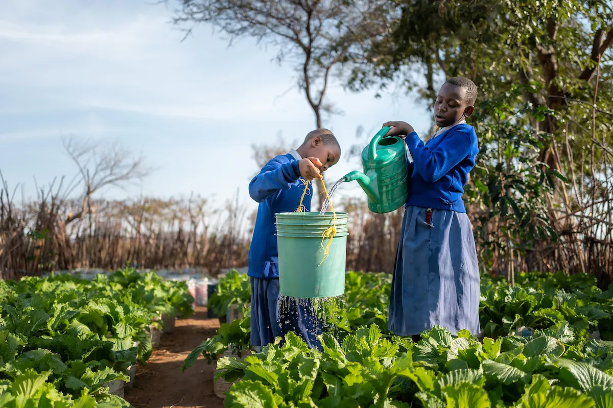 Schoolgirls watering their garden
