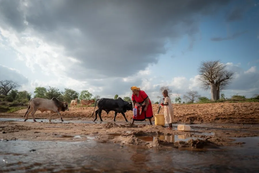 The water in the Kambu River is dirty and unsafe, and animals often tread through it. It often makes Celestine sick, causing her to miss school.