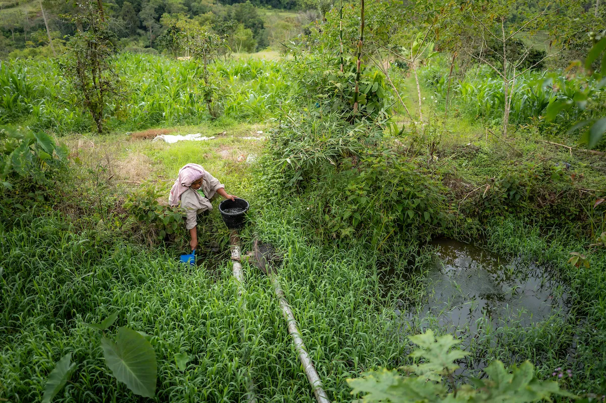 Woman scoops water from puddle