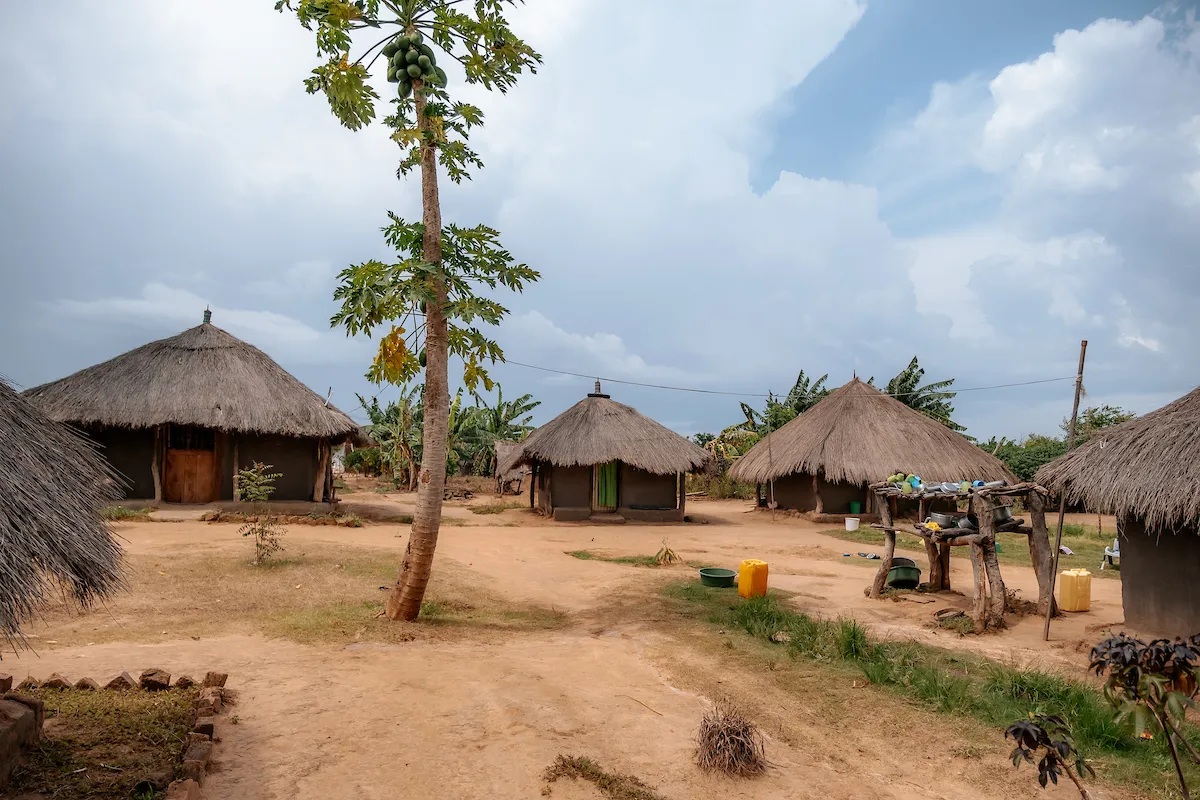 Rhino Camp in Uganda