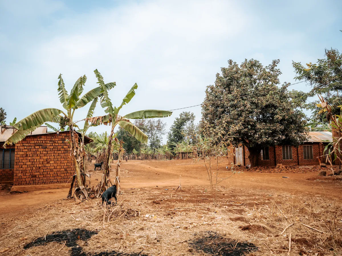 Dirt road and homes in an African community.
