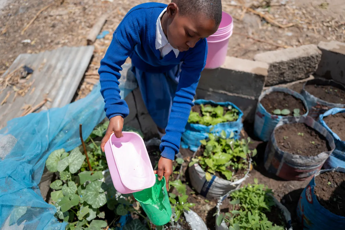 Girls from Mzogole Primary School tend to their school's garden