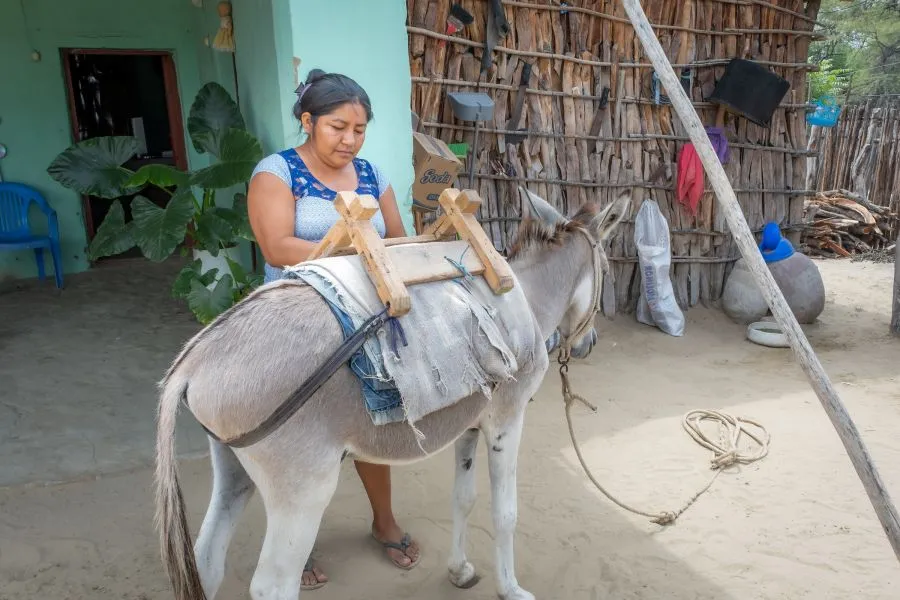 Cipriana, a mother of two, prepares her donkey, Blanco, for the journey to collect water for the family.