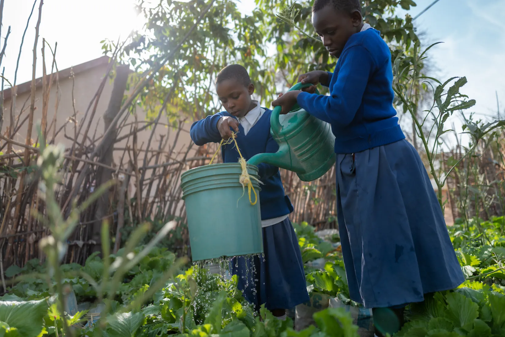 Girls from Mzogole Primary School tend to their school's garden