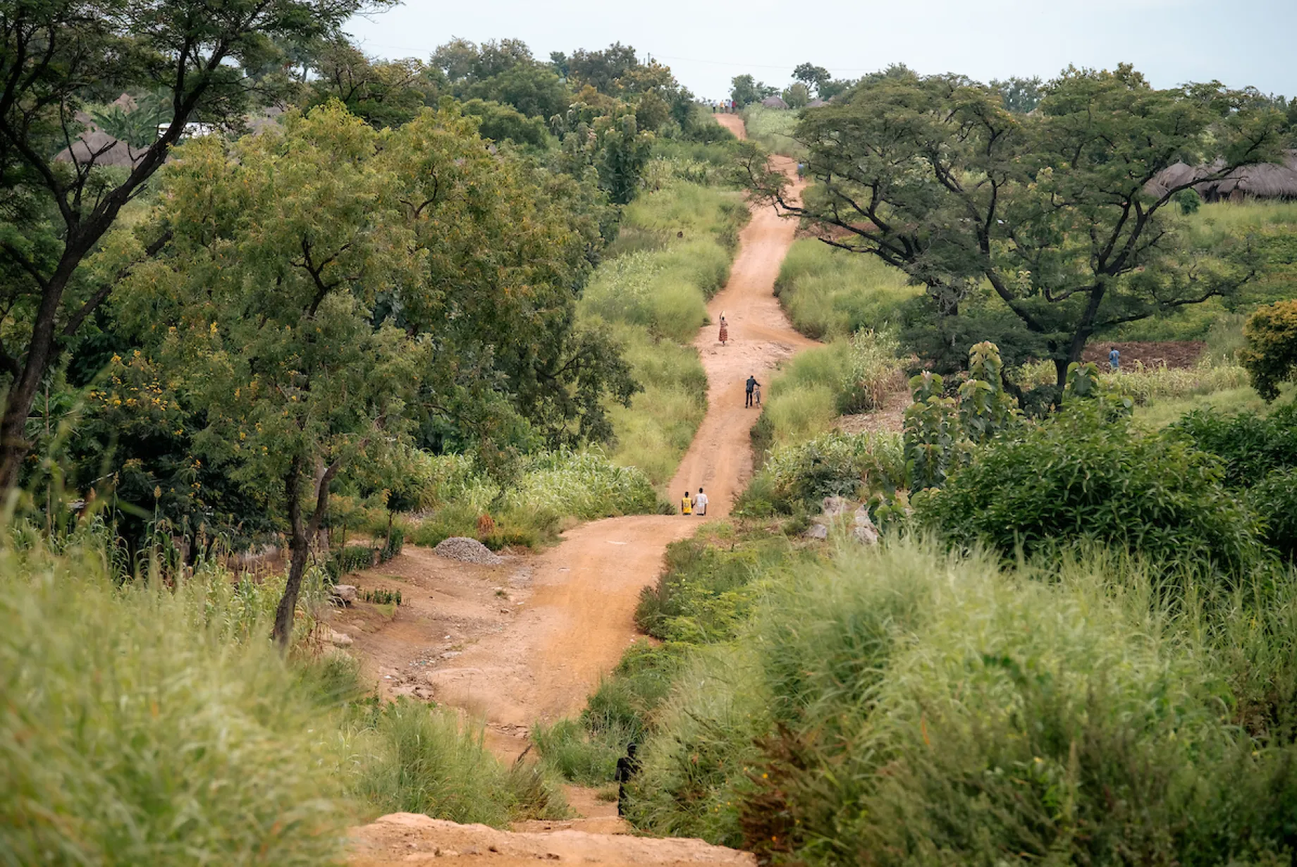 Dirt road through a Ugandan community.
