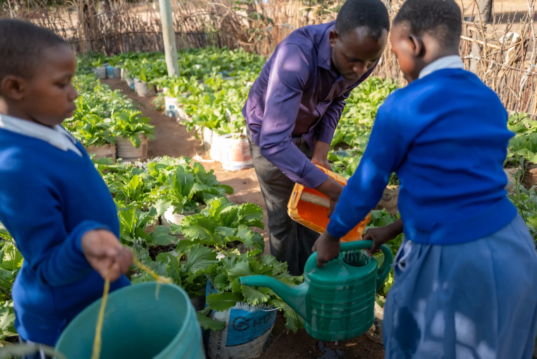 Girls from Mzogole Primary School tend to their school's garden