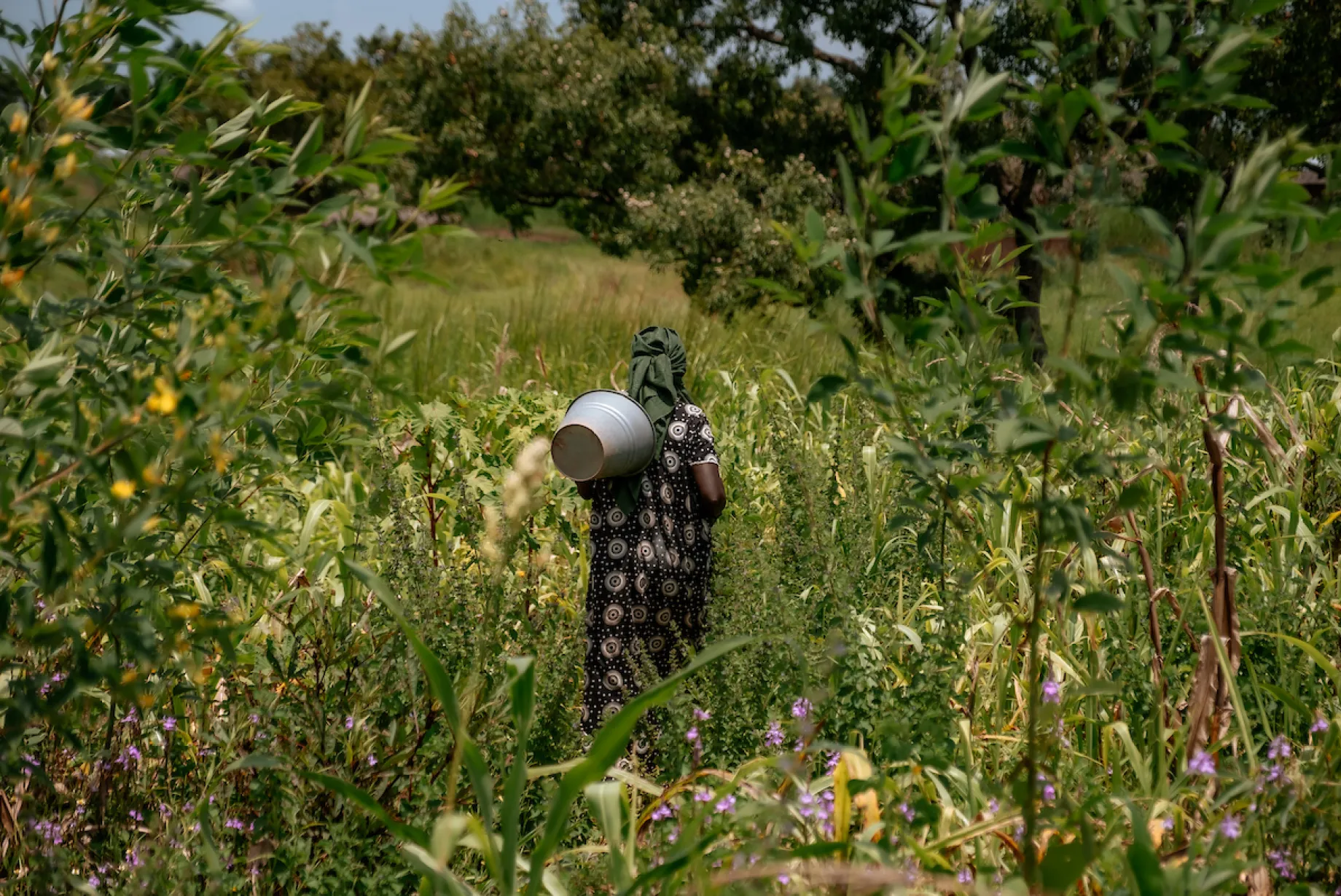 A woman walks for water in Uganda, Africa