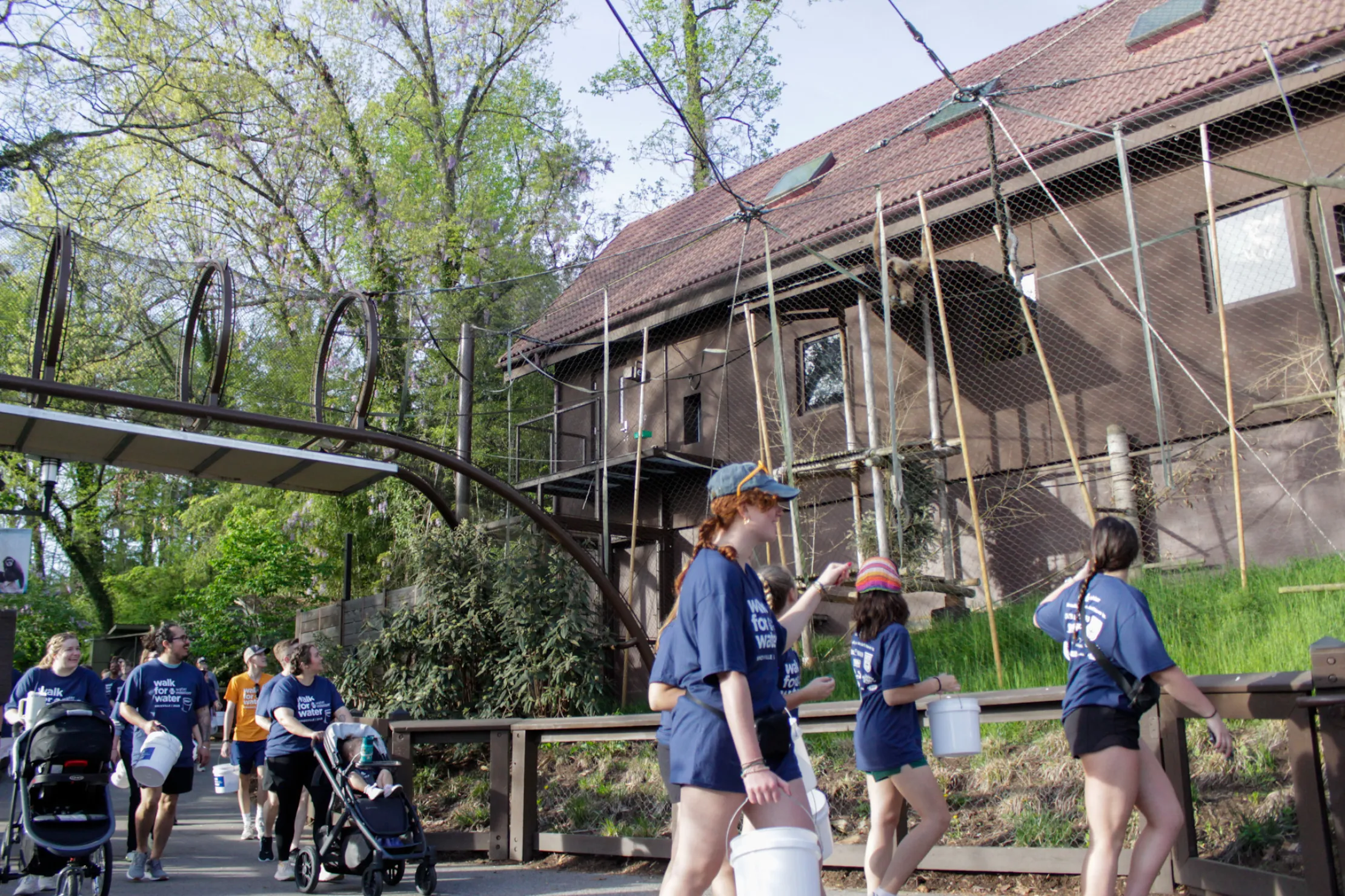 Walkers walk through the zoo