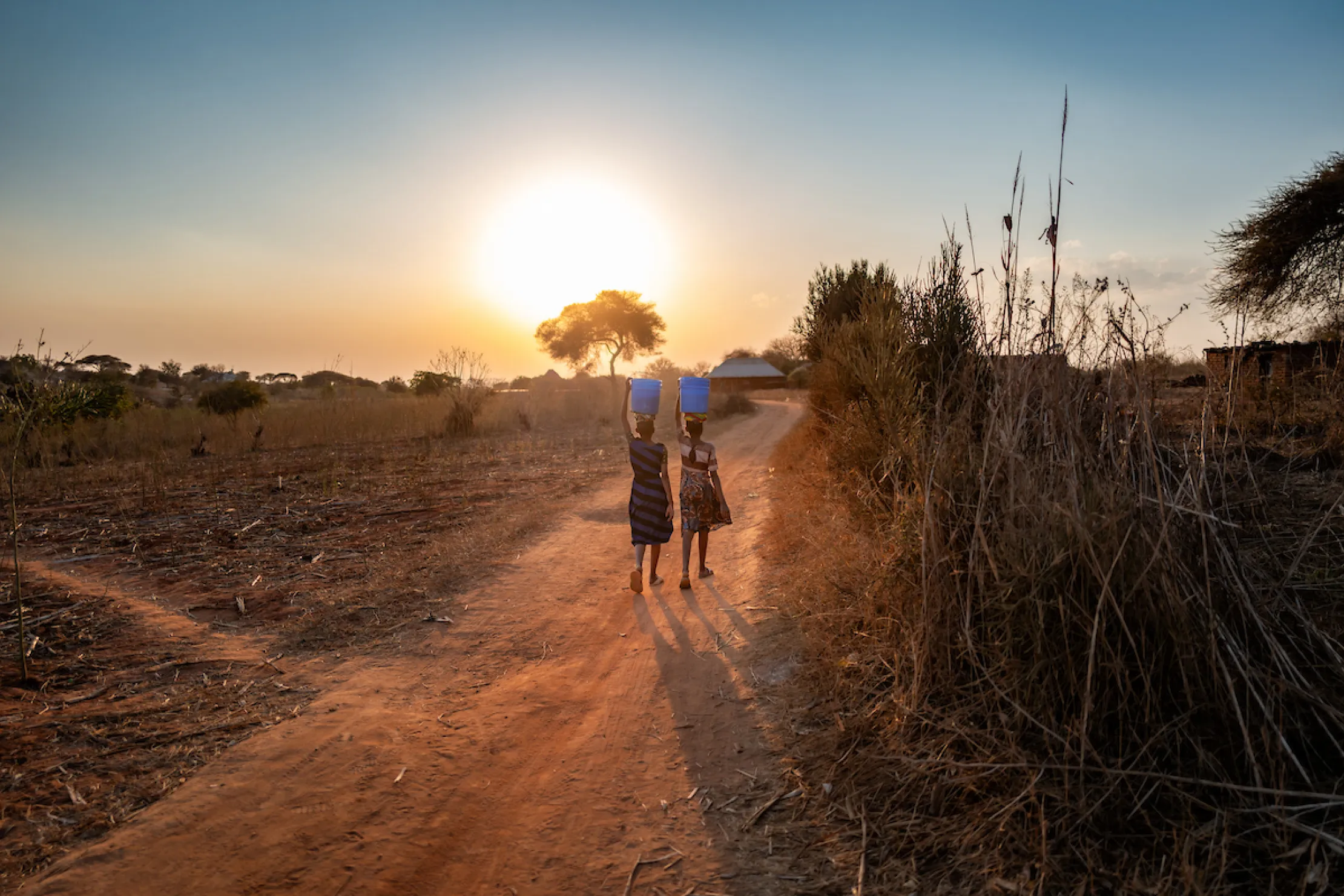 Children in Tanzania, Africa walking for water