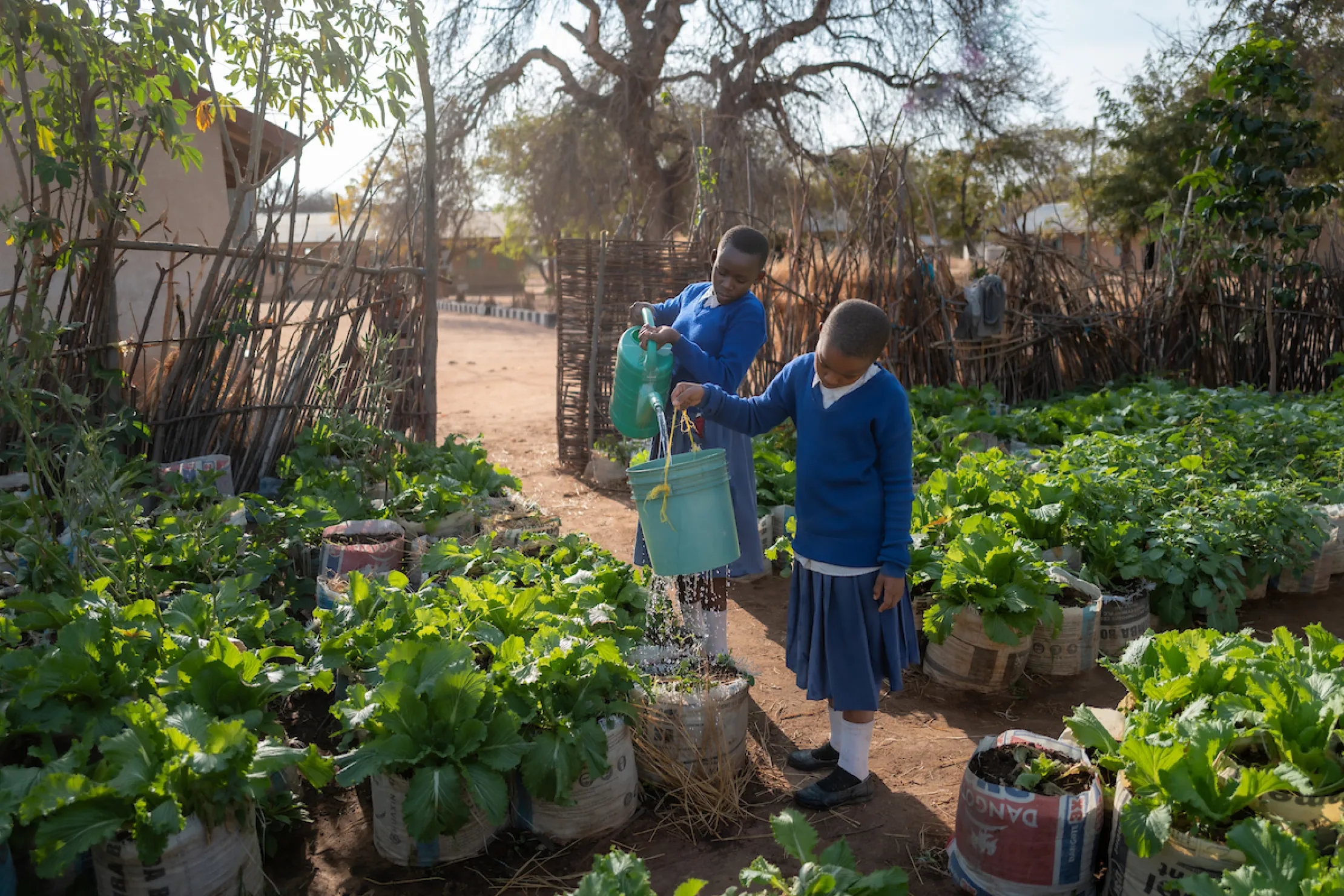 Girls from Mzogole Primary School tend to their school's garden