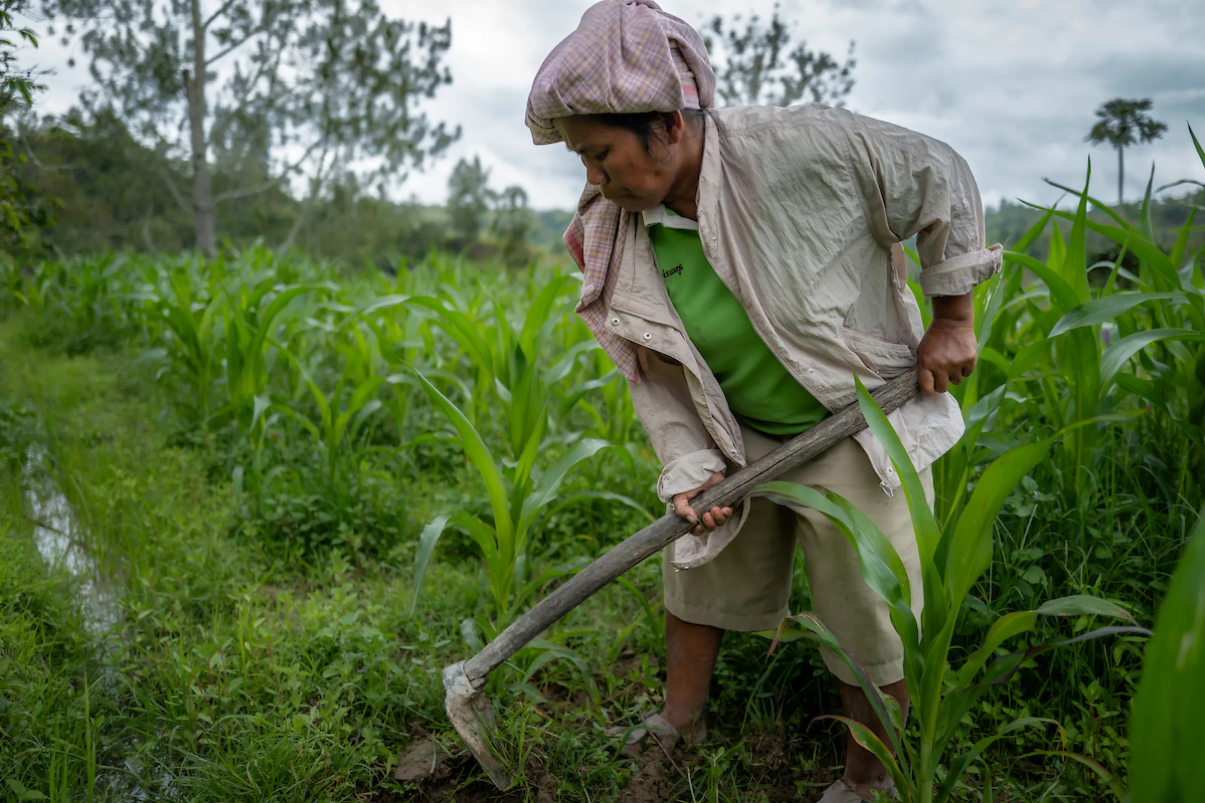 Wintra works in her field