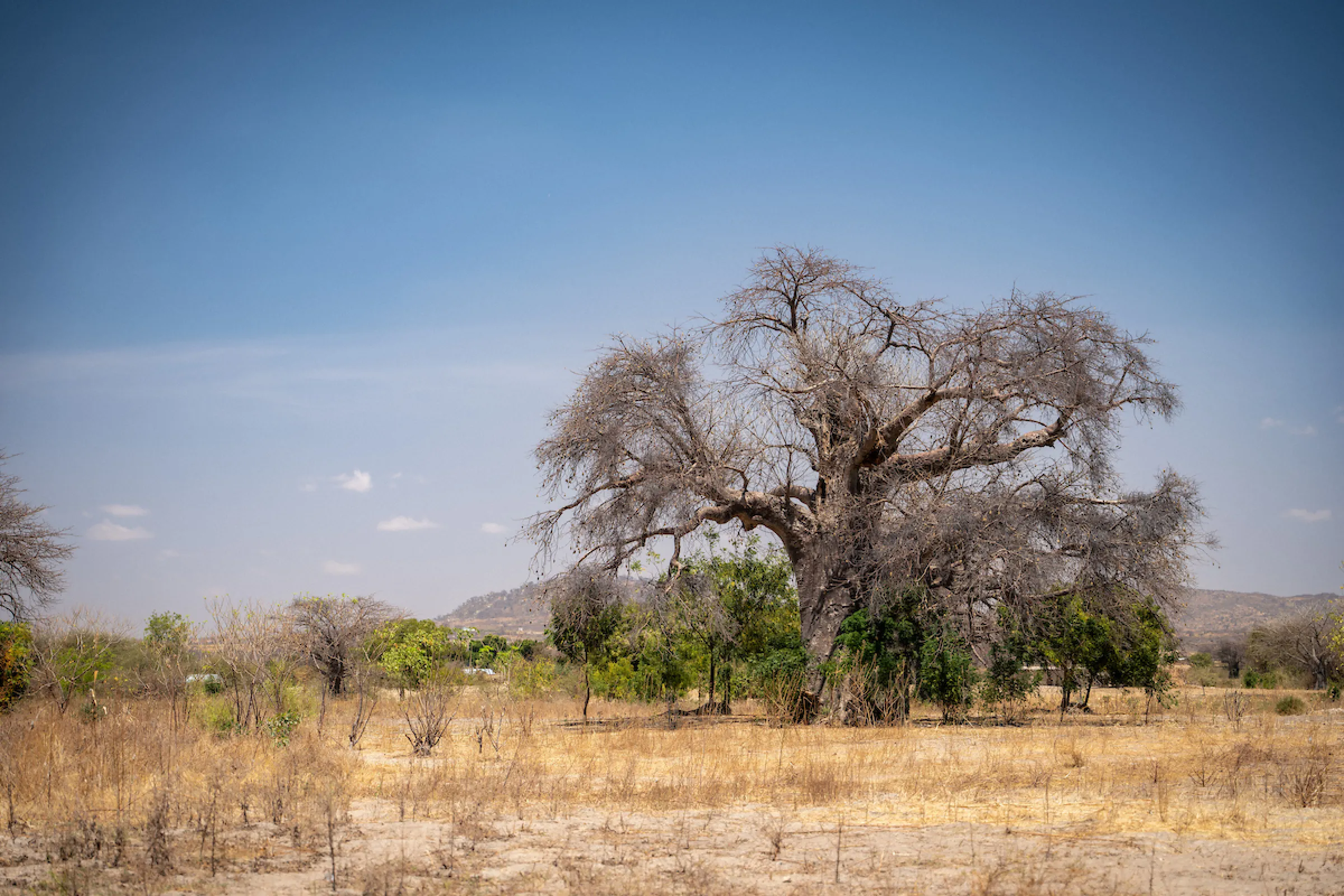 Tanzania, Africa