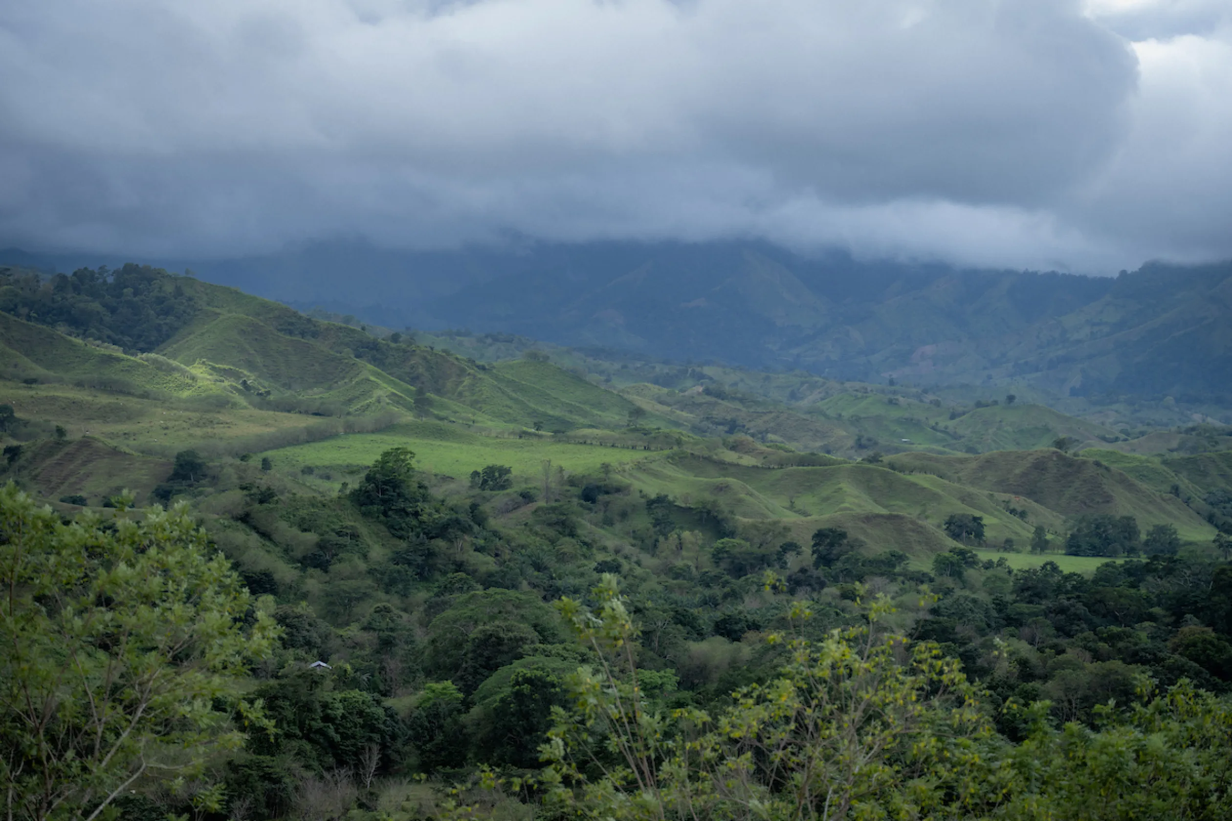 La Abisinia, Honduras
