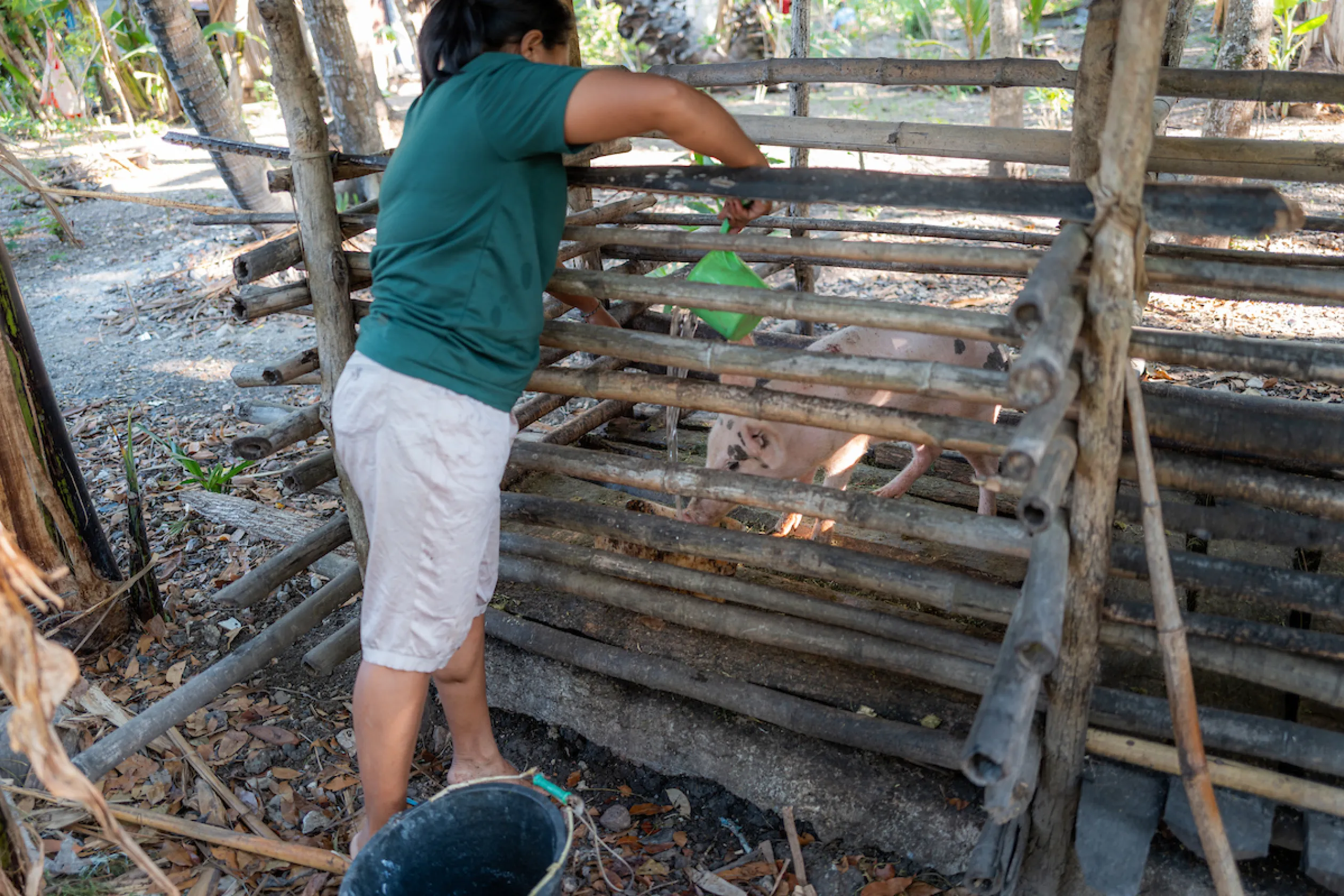 Delti waters her animals