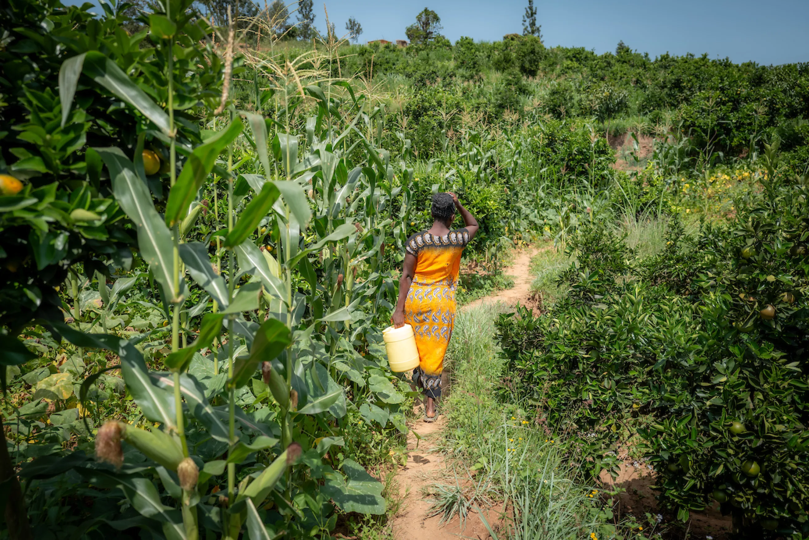 Elizabeth walking with her water bucket