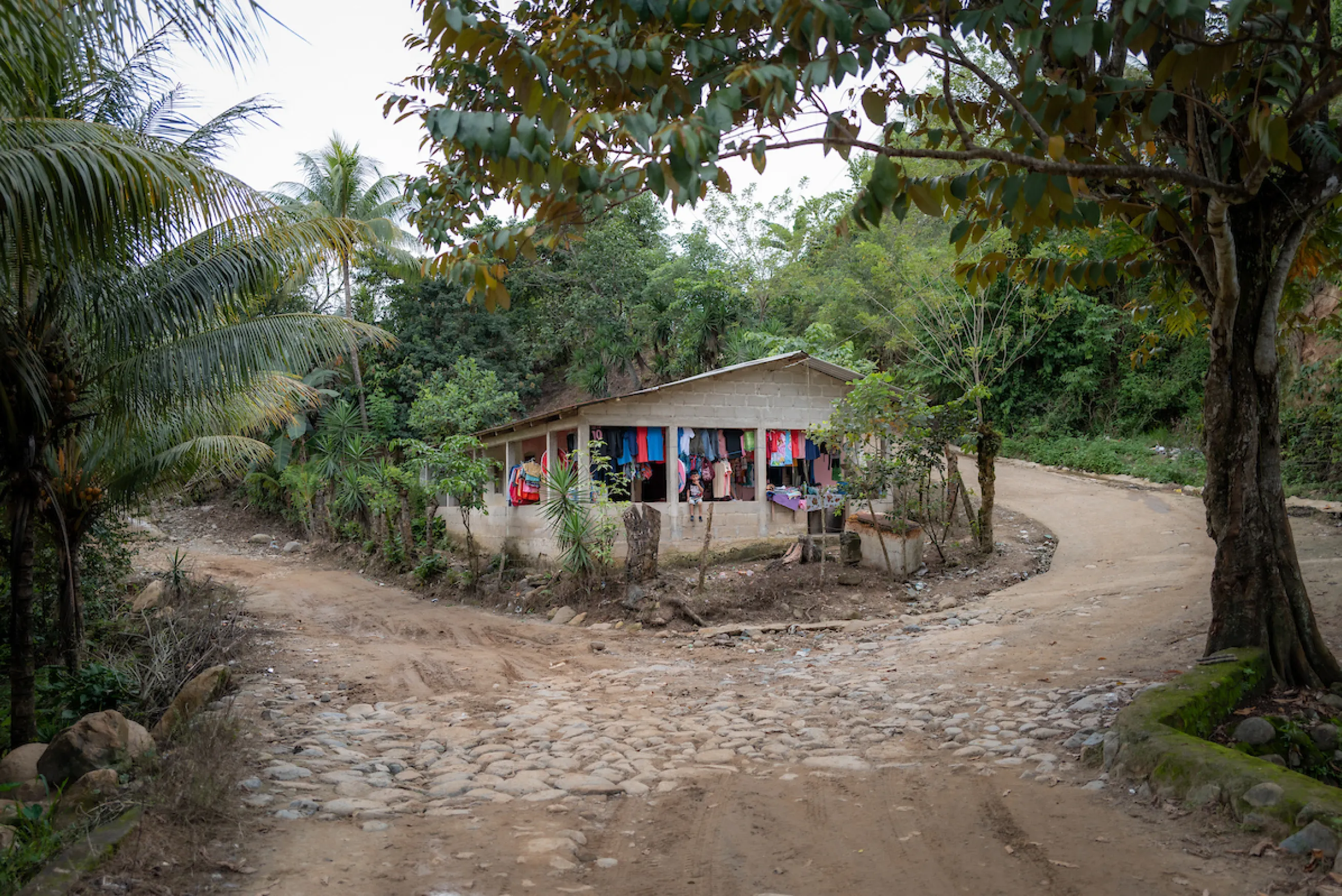 La Abisinia, Honduras