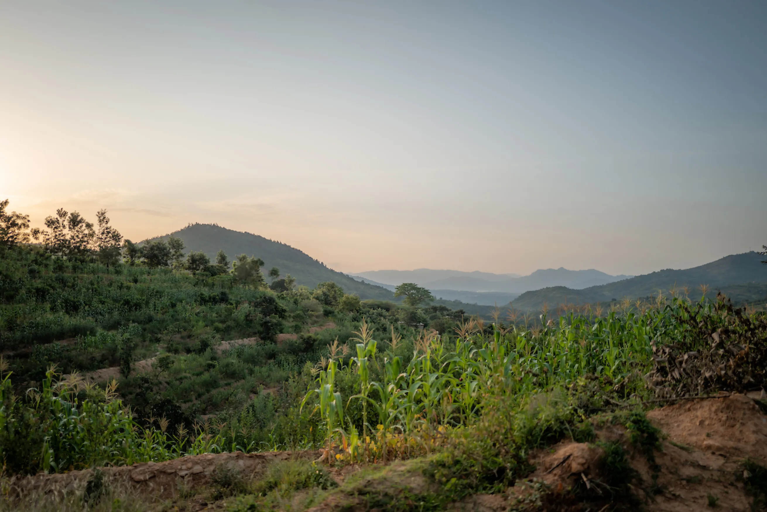 The landscape of Kenya, Africa