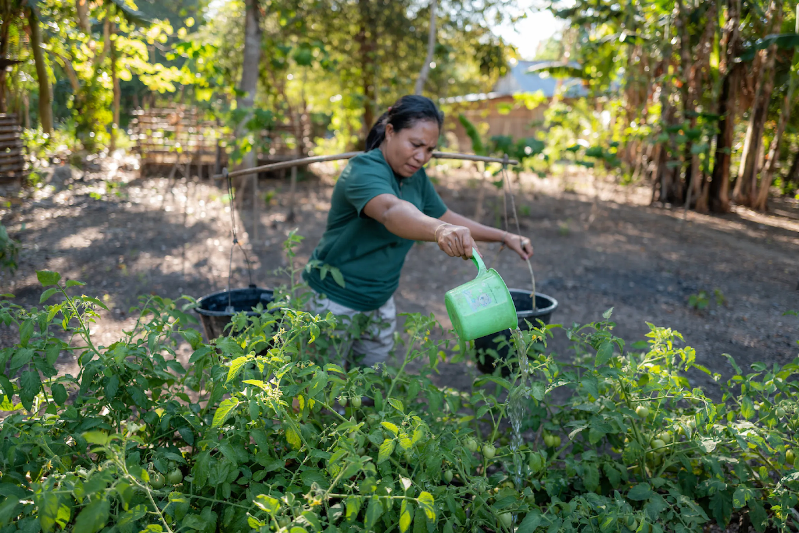 Delti waters her garden in rural Indonesia