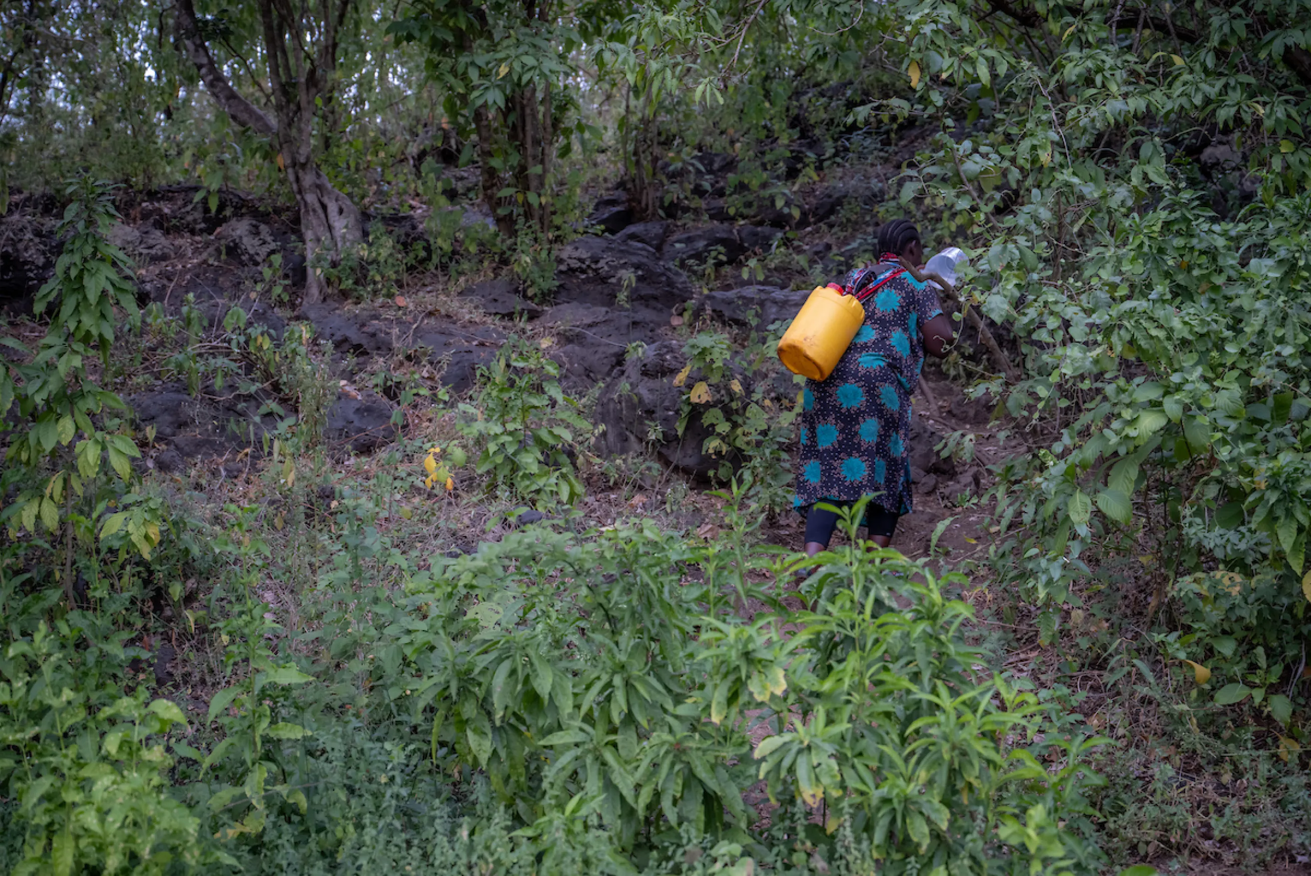 Lucy walking for water in Kenya, Africa