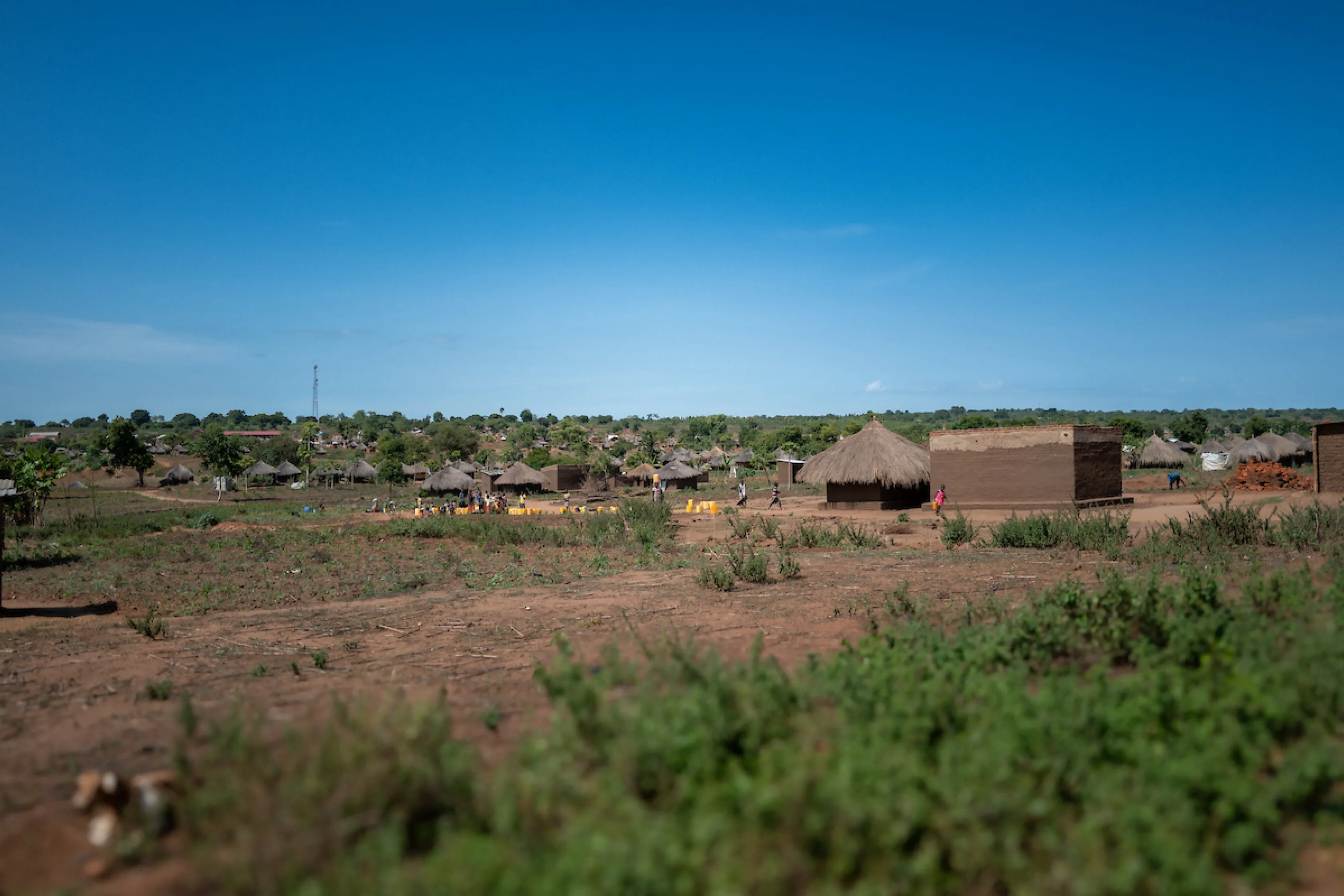 A village in Uganda, Africa