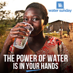 WS2013 250x250 web ad face