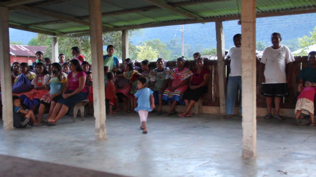The Community of La Zarca, Mexico