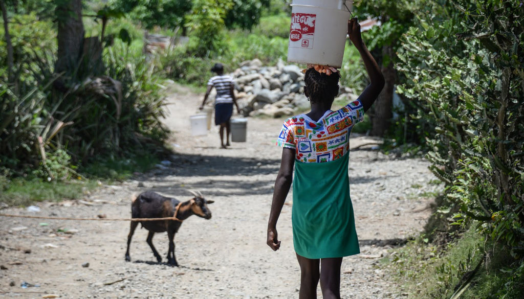 The walk to fetch water | Bois Savanna, Haiti