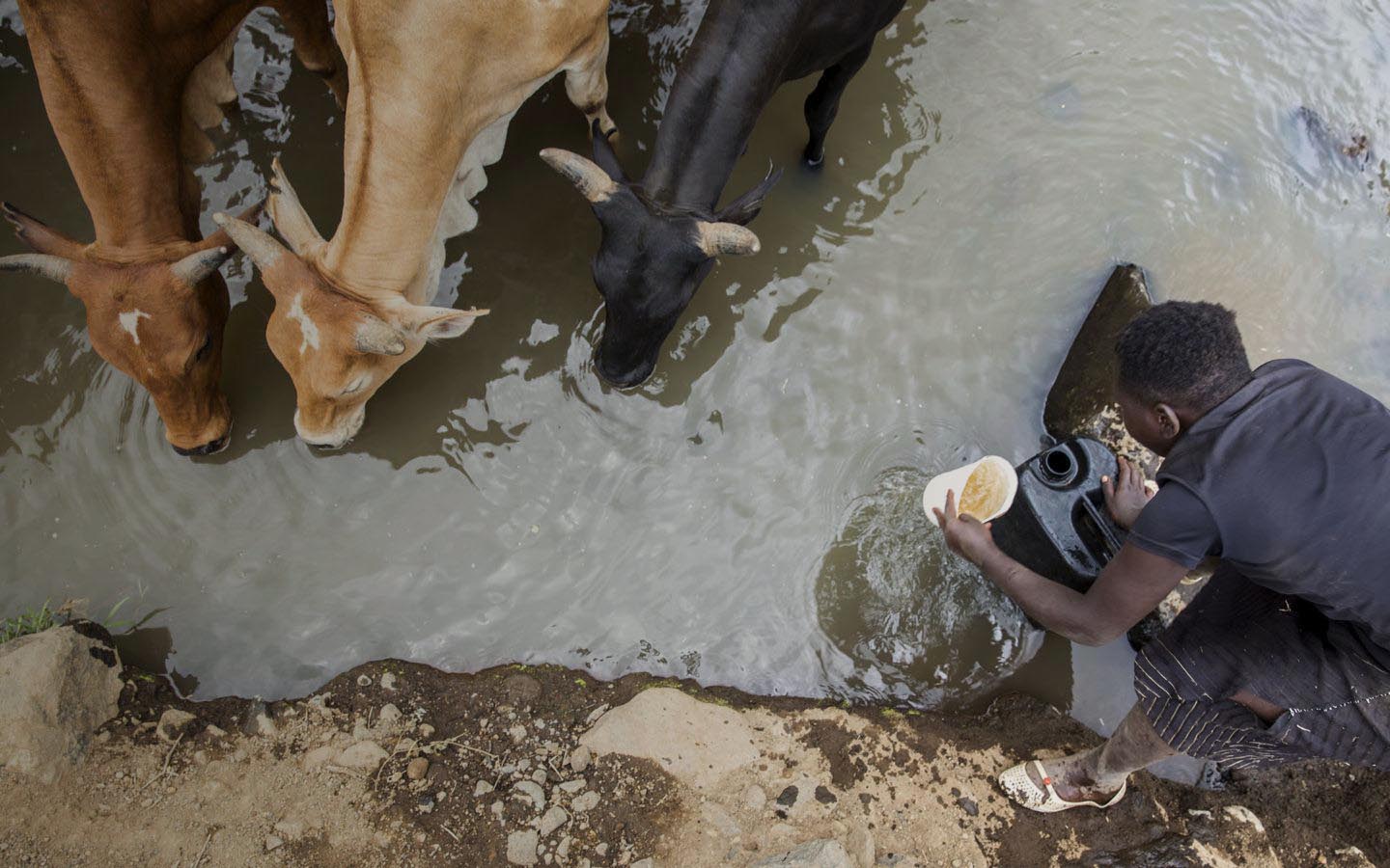 Clean Water Charity & Nonprofit Engineering | Water Mission