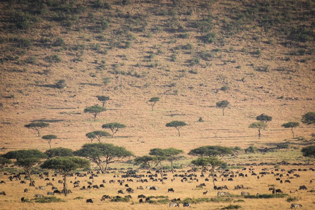 Hanlon Trip to Kenya