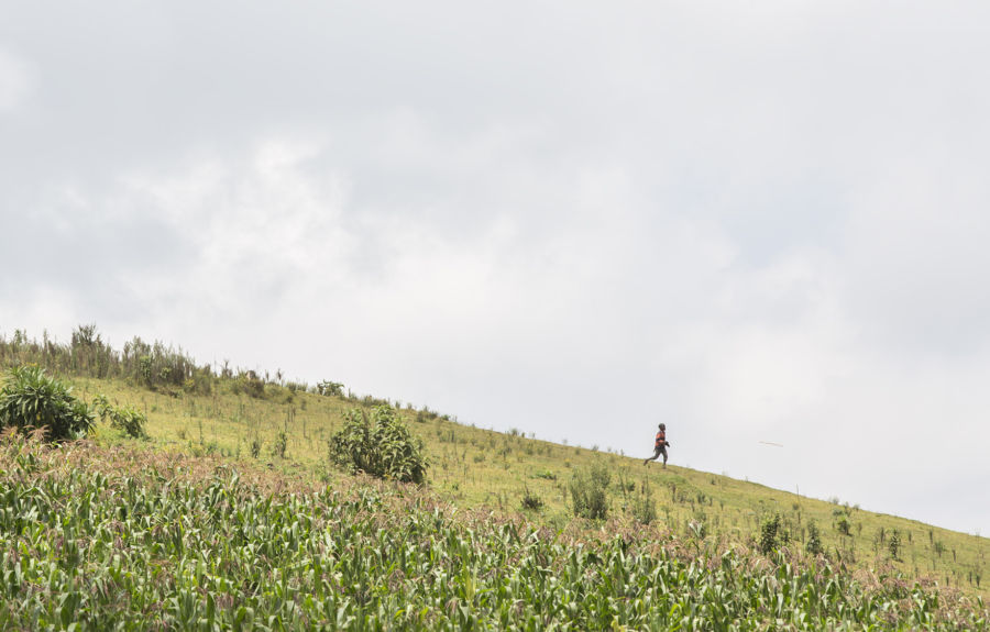 A young boy makes the trek to fetch water in Kenya.