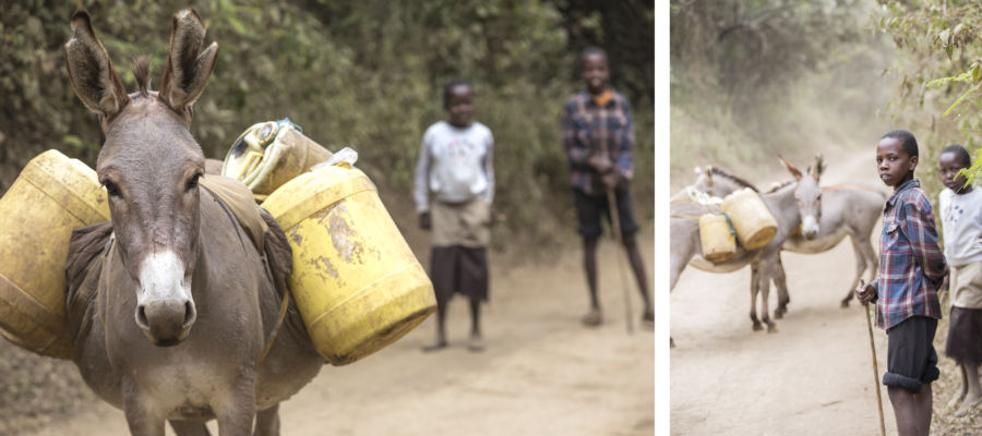 Young boys collect dirty water in Enariboo, Kenya.