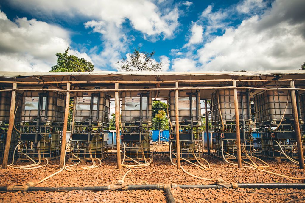 Safe water systems in Nyarugusu Refugee Settlement