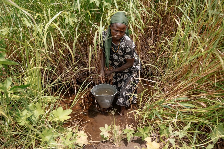 April 2024 Appeal Banner